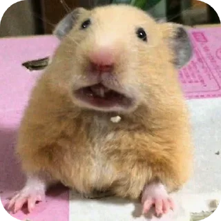 😩