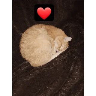❤️