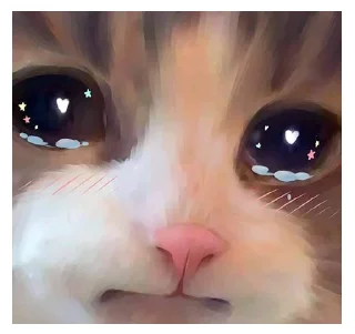 🥺