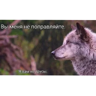 🐺