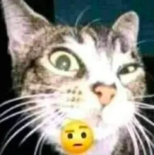 🤨