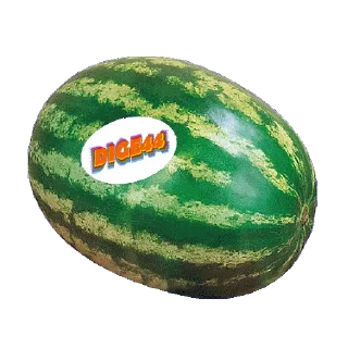 🍉