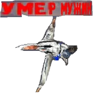 ✈