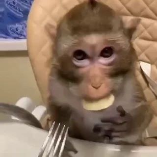 🤩
