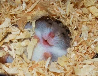😊