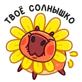 ☀️