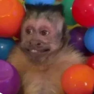 😃
