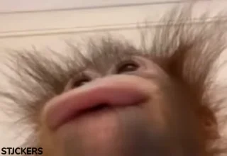 🤤