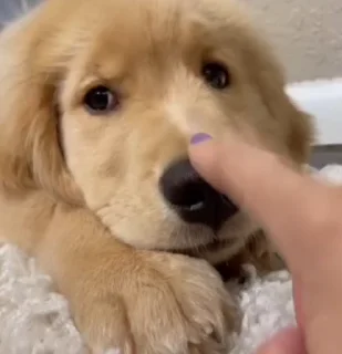 🥰