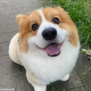 🙂
