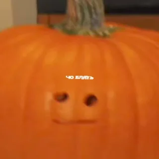 🗿