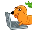 👩‍💻