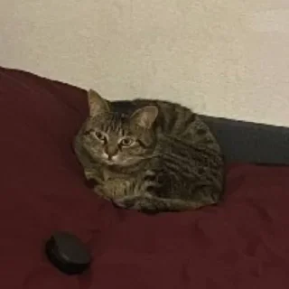 😥