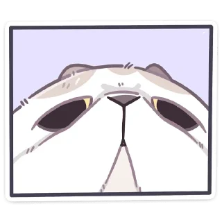 👀