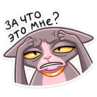❓
