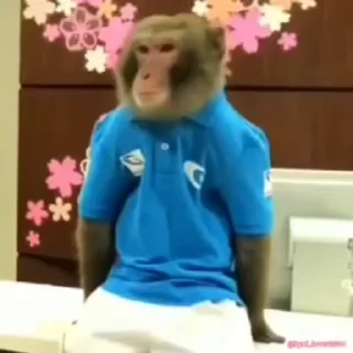👏