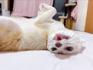 🙃