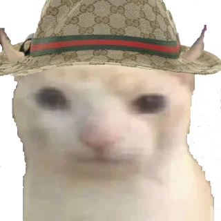 🧢