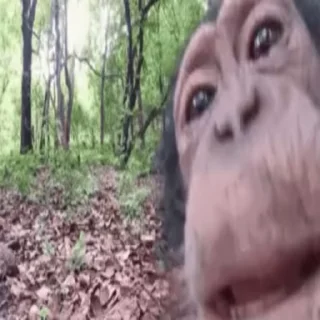 😋
