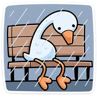 ☔️