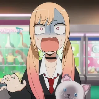 ✨