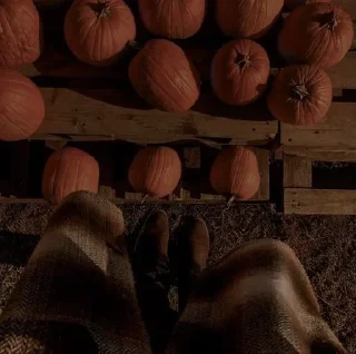 🍂