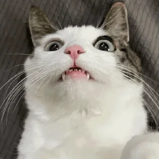 😳