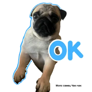 👌