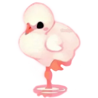 🦩