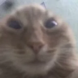 😳