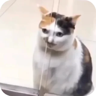 👍