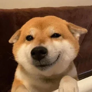 😏