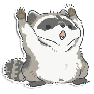 🦝