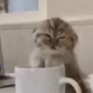 😪