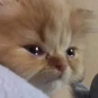 😥