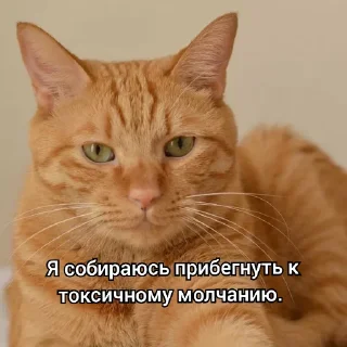 😡
