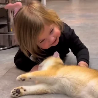 🐱