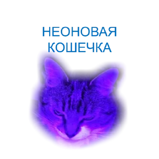 💜