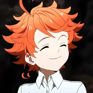 Обещанный неверленд @anime_sticks