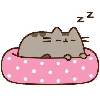 😴