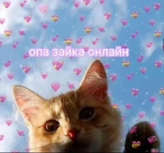 🌚
