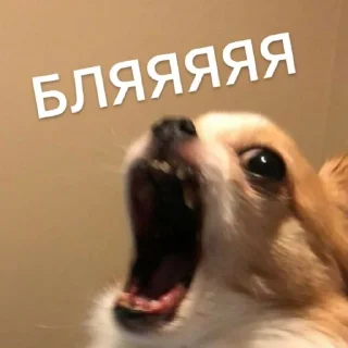 😩