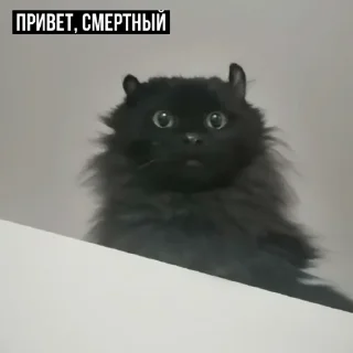 😐