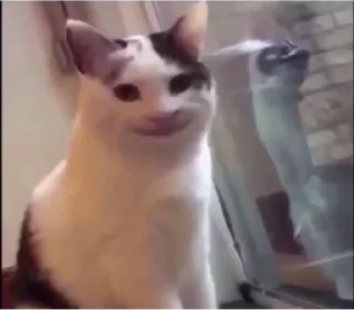 🙂