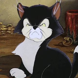 😾