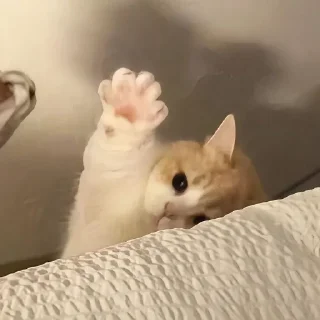 👋