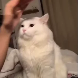 😡