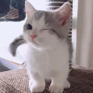 😉