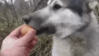 🥸