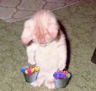 😖